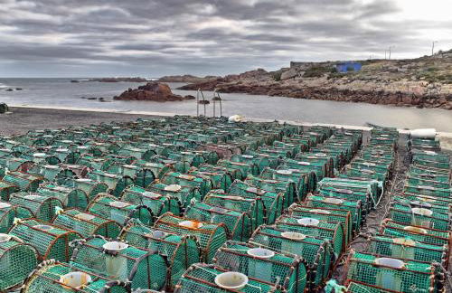Os Faros Pisos Turísticos - Foto 56