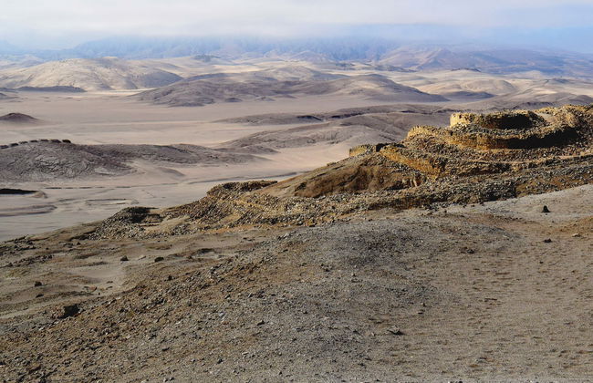 Excursion à Chankillo et sa forêt de caroubiers - Photo 2