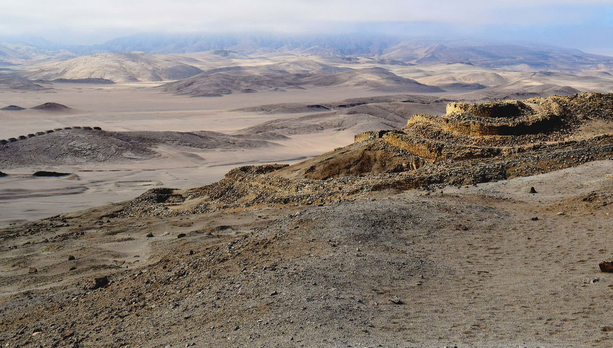 Excursão a Chankillo e sua floresta de alfarrobeiras