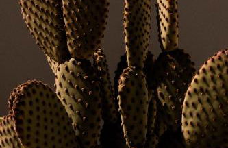 Sikalindi Apulia - Foto 48