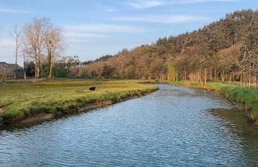 Apartamentos Rurales Las Garzas de Oyambre - Foto 26