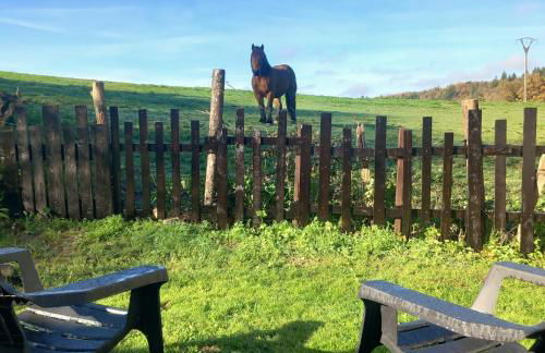 Solapetxea Loft rural - Foto 8