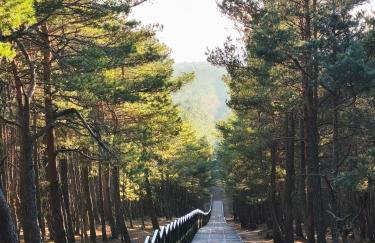 DOMKI RUCHOME PIASKI - Foto 31