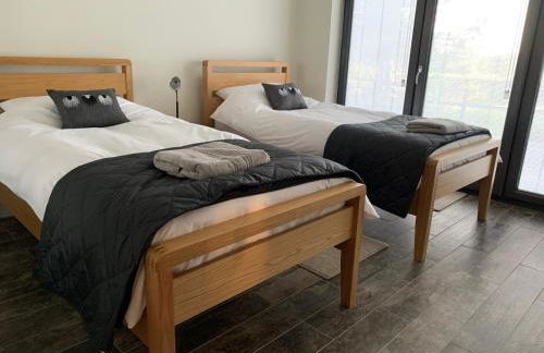 Newton Bothy - Foto 3