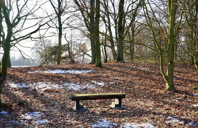 Blockhaus Fleesensee - Foto 15