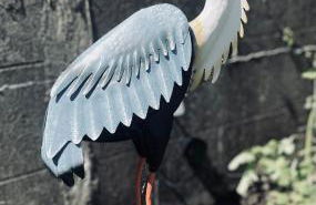 Grey Heron Townhouse - Foto 32