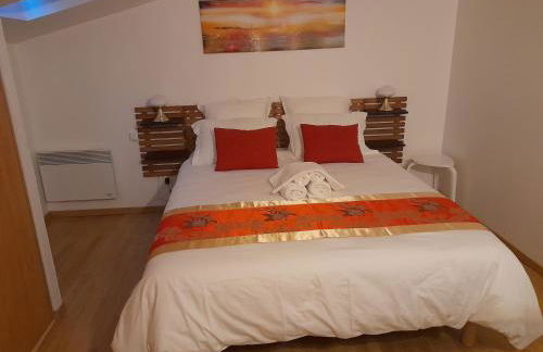 T2 Charmant duplex independant Blagnac - Photo 4