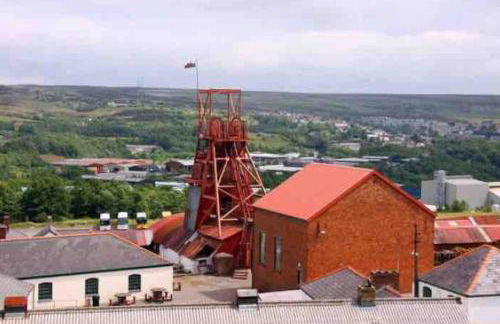 HOT TUB - Miners Cottage - edge of Brecon Beacons National Park - Heritage Town - Foto 8