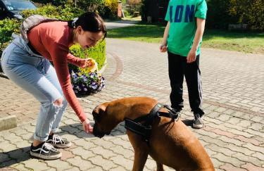 Top-moderne Ferienwohnung und Apartments auf früherem wunderschönen Bauernhof im Elbe-Elster-Kreis in Brandenburg bei Herzberg-Elster, Schönewalde, Holzdorf - Foto 22