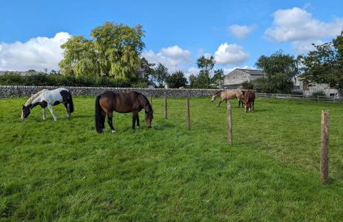 The Coach House, Yealand Redmayne perfect for a family in a rural setting, bring your dogs and horse - Photo 26