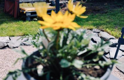 La Roulotte romantique des volcans - Foto 9