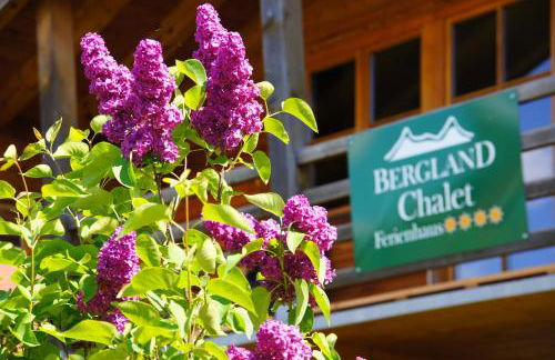 "Viktoria Chalet" - Annehmlichkeiten vom 4-Sterne Familien-und Wellnesshotel Viktoria nebenan können mitbenutzt werden - Photo 28