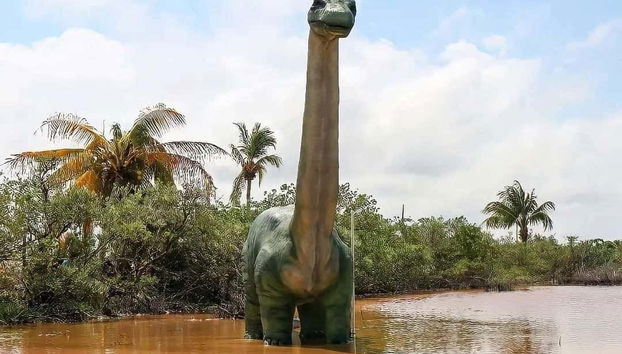 Découvrez tout sur les dinosaures