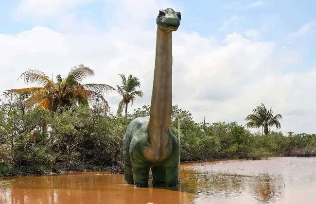 Excursion au musée des météorites et au sentier jurassique - Photo 3