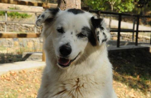 Masía La Posada del río Carbo - Photo 61