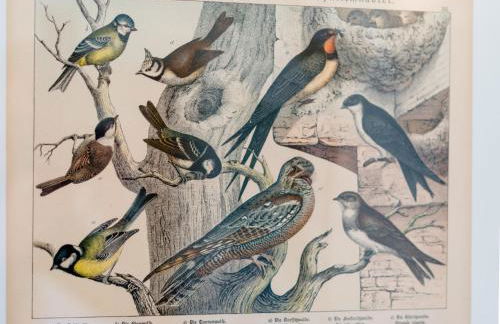 Ferienhaus in Amelgatzen mit Terrasse - Foto 80