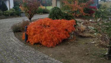 Das gelbe Landhaus - Foto 5