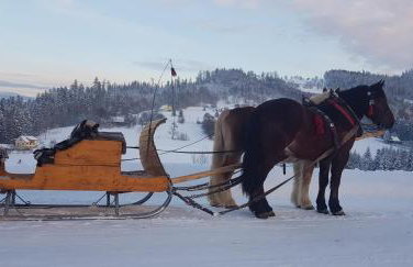 Apartamenty Lavender Hill - Foto 31