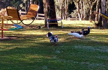 Magia das Hortênsias - Natureza, Hidromassagem e Muita Tranquilidade! - Foto 45