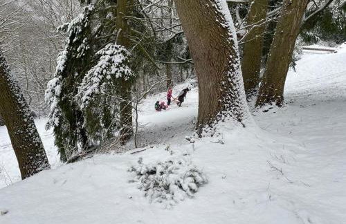 Schiller Ferienwohnung, Pool, Nideggen, Eifel - Foto 55