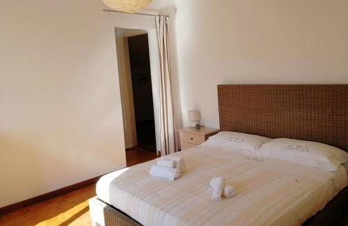 I tulipani - Foto 29