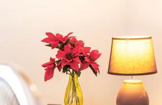 Cedars Tree House - Photo 21