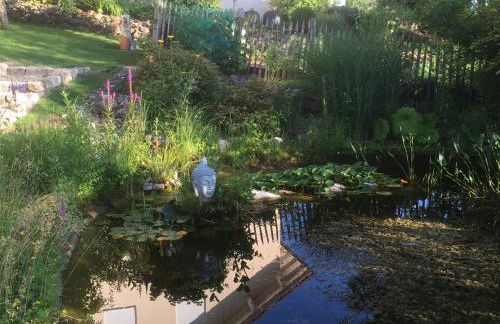 Living in Nature - Foto 35