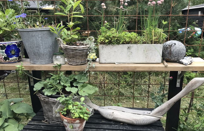 "Elisa" - 600m from the sea - Foto 11