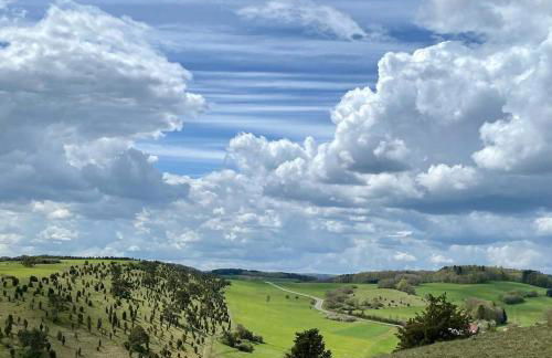 Holzhaus Onkel Fritz mit Sauna und Whirlwanne - Foto 53