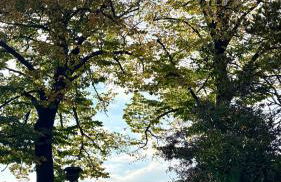 Dimora storica, appartamento in Villa Pampinuccia - Foto 27