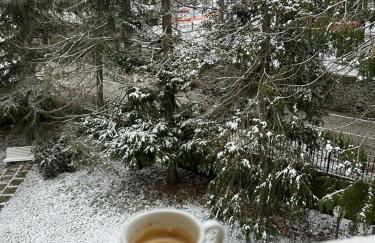 NadSan Mountain House - Photo 1