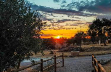 Reflexos D'Alma Turismo Rural - Foto 18