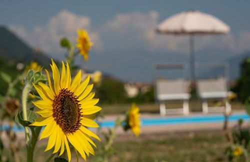 Gutshof Ebner - Foto 59