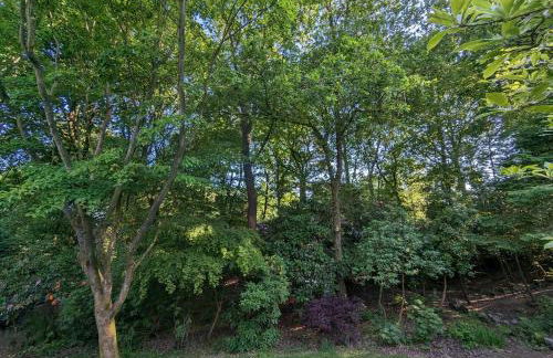 Acorn Lodge Luxury Retreat In a Stunning Oasis With Hot Tub - Pass the Keys - Foto 68