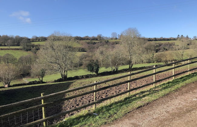 Welsh Marches at Upper Glyn Farm - Foto 39