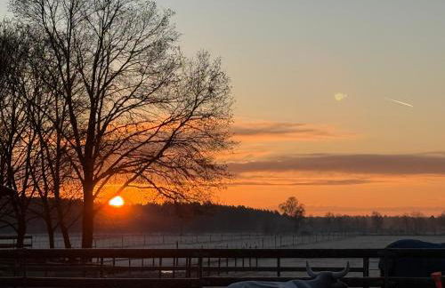 Ferienwohnung - Photo 8