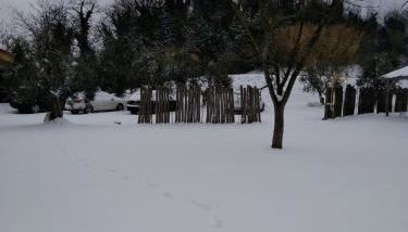 Agriturismo L'isola - Foto 4, Garden view