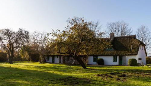 Ferienpark Vieregge - Häuser 2-2D - Foto 3