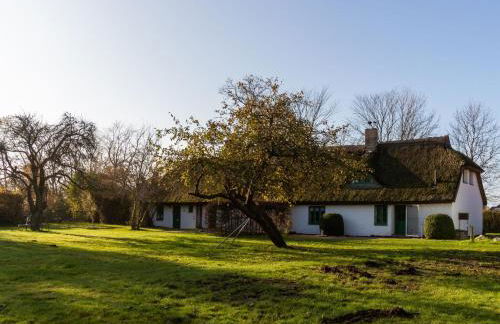 Ferienpark Vieregge - Häuser 2-2D - Photo 3