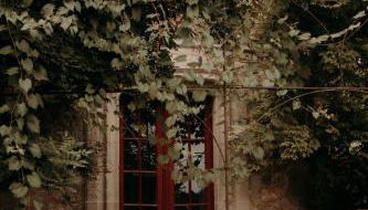 Chateau de Saint Dau - Foto 2, Garden view