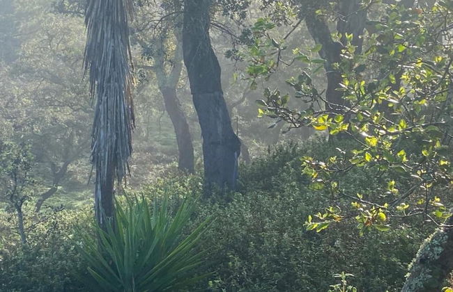 Quiet Cottage in Estate Casas da Cerca near Troviscais - Foto 32