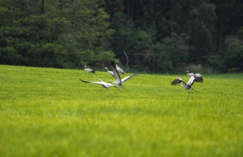 Ferienhaus am Garder See mit Panorama - Foto 43
