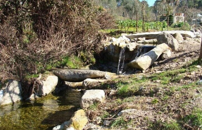 Casa de Igarei - Foto 19