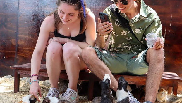 Michin Aquarium Guadalajara Ticket - Foto 2