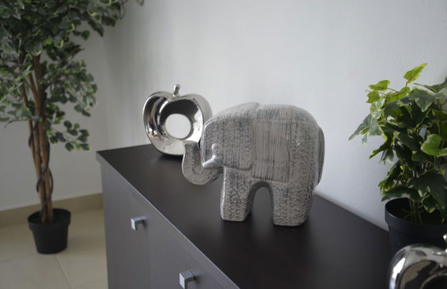 Wonderful Caribbean !!! - Foto 21