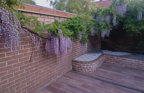 Studio Mer & Aa-terrasse-jardin-WIFI-parking-classé 3 étoiles - Foto 56