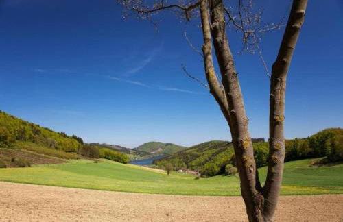 Wohnung im Sauerland mit Terrasse - Foto 24