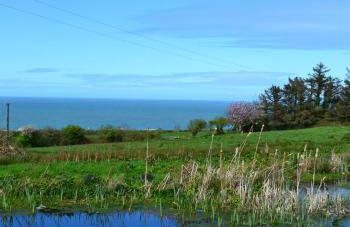 Rustic hideaway between Aberporth & Tresaith - Foto 31