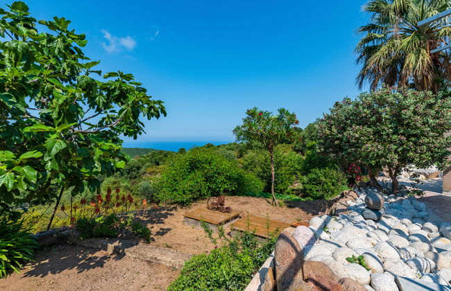 2 bedroom House in Coti-Chiavari with swimming pool and garden - Photo 2