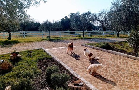 Apartments Relax Zone - Foto 14